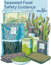Seaweed Food Safety Guidance