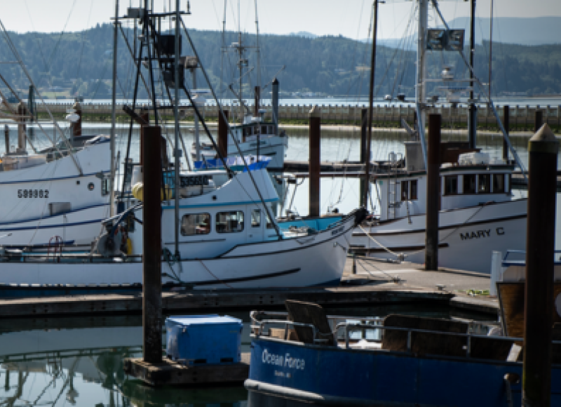 Row of boats at the dock